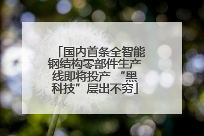 国内首条全智能钢结构零部件生产线即将投产 “黑科技”层出不穷