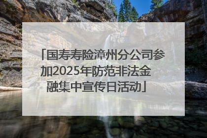 国寿寿险漳州分公司参加2025年防范非法金融集中宣传日活动