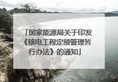 国家能源局关于印发《核电工程定额管理暂行办法》的通知