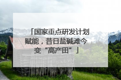 国家重点研发计划赋能，昔日盐碱滩今变“高产田”