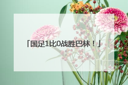 国足1比0战胜巴林！