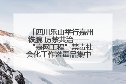 四川乐山举行嘉州铁腕 厉禁共治——“嘉网工程”禁毒社会化工作暨毒品集中销毁启动仪式