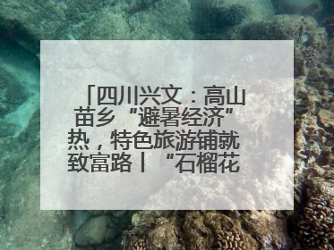 四川兴文：高山苗乡“避暑经济”热，特色旅游铺就致富路丨“石榴花开”四川行⑧