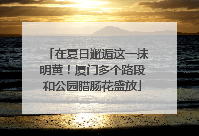 在夏日邂逅这一抹明黄！厦门多个路段和公园腊肠花盛放