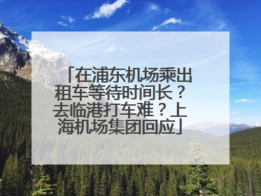 在浦东机场乘出租车等待时间长？去临港打车难？上海机场集团回应