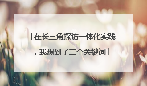 在长三角探访一体化实践，我想到了三个关键词