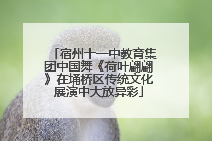 宿州十一中教育集团中国舞《荷叶翩翩》在埇桥区传统文化展演中大放异彩