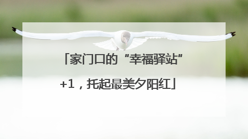 家门口的“幸福驿站”+1，托起最美夕阳红