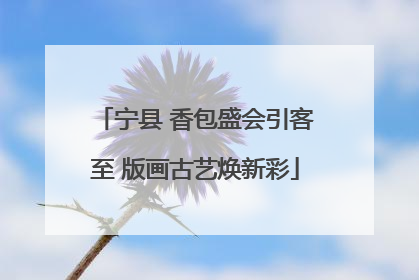 宁县 香包盛会引客至 版画古艺焕新彩