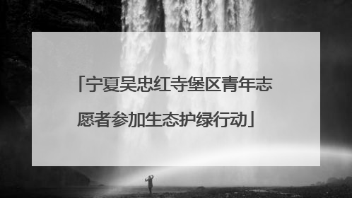 宁夏吴忠红寺堡区青年志愿者参加生态护绿行动
