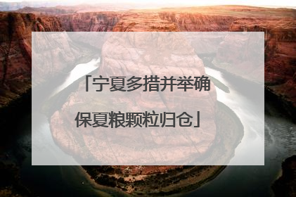 宁夏多措并举确保夏粮颗粒归仓