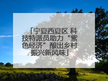 宁夏西夏区 科技特派员助力“紫色经济”酿出乡村振兴新风味