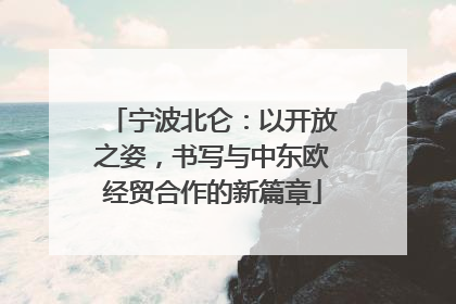 宁波北仑：以开放之姿，书写与中东欧经贸合作的新篇章