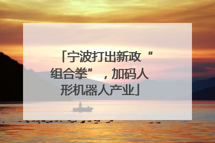 宁波打出新政“组合拳”，加码人形机器人产业
