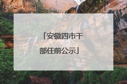 安徽四市干部任前公示