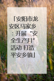 安阳市龙安区马家乡：开展“安全生产月”活动 打造平安乡镇