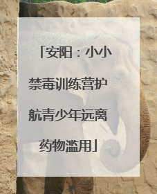 安阳：小小禁毒训练营护航青少年远离药物滥用