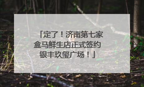 定了！济南第七家盒马鲜生店正式签约银丰玖玺广场！