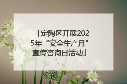 定陶区开展2025年“安全生产月”宣传咨询日活动
