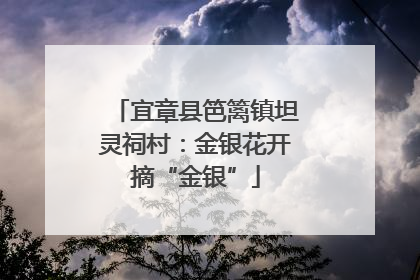 宜章县笆篱镇坦灵祠村：金银花开摘“金银”