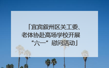 宜宾叙州区关工委、老体协赴高场学校开展“六一”慰问活动