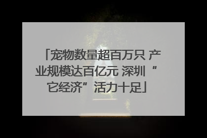 宠物数量超百万只 产业规模达百亿元 深圳“它经济”活力十足
