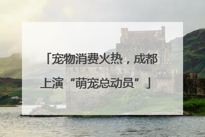 宠物消费火热，成都上演“萌宠总动员”