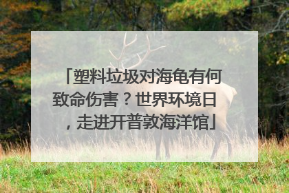 塑料垃圾对海龟有何致命伤害？世界环境日，走进开普敦海洋馆
