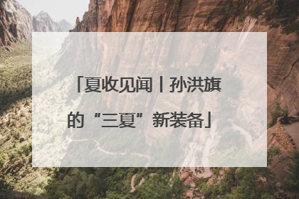 夏收见闻丨孙洪旗的“三夏”新装备