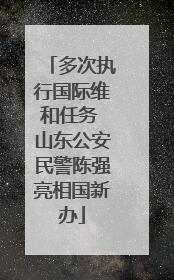 多次执行国际维和任务 山东公安民警陈强亮相国新办