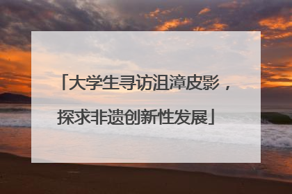 大学生寻访沮漳皮影，探求非遗创新性发展