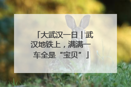 大武汉一日｜武汉地铁上，满满一车全是“宝贝”