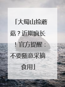 大蜀山捡蘑菇？近期疯长！官方提醒：不要随意采摘食用