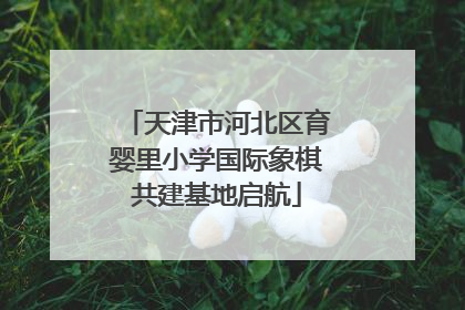 天津市河北区育婴里小学国际象棋共建基地启航