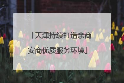 天津持续打造亲商安商优质服务环境