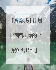 奔流城市计划丨河西走廊的“紫色名片”
