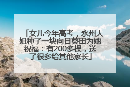 女儿今年高考，永州大姐种了一块向日葵田为她祝福：有200多棵，送了很多给其他家长
