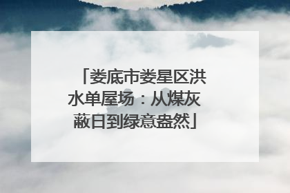娄底市娄星区洪水单屋场：从煤灰蔽日到绿意盎然