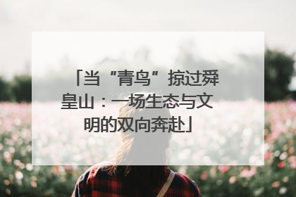 当“青鸟”掠过舜皇山：一场生态与文明的双向奔赴