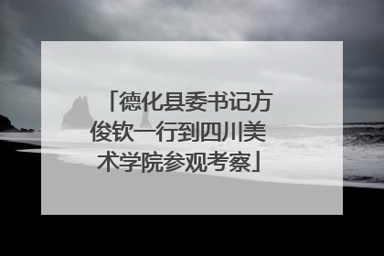 德化县委书记方俊钦一行到四川美术学院参观考察
