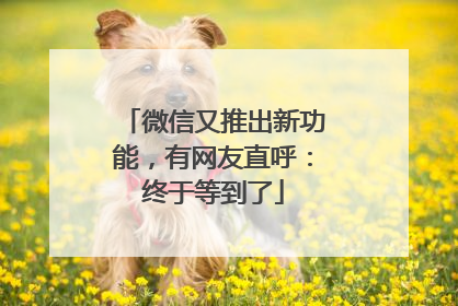 微信又推出新功能，有网友直呼：终于等到了