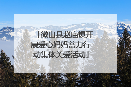 微山县赵庙镇开展爱心妈妈蓄力行动集体关爱活动