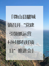 微山县驩城镇召开“党建引领抓运营 村村都有好项目”推进会