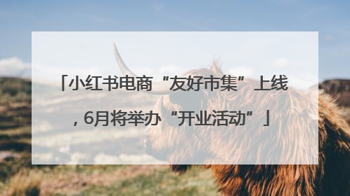 小红书电商“友好市集”上线，6月将举办“开业活动”