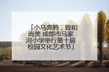 小马奔腾，致和尚美 成都市马家河小学举行第十届校园文化艺术节