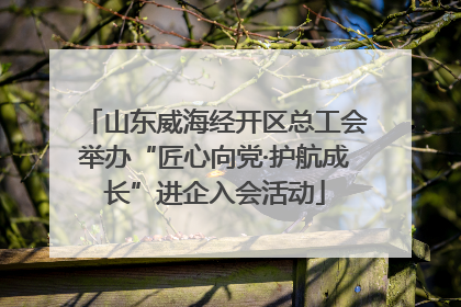 山东威海经开区总工会举办“匠心向党·护航成长”进企入会活动