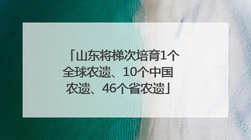 山东将梯次培育1个全球农遗、10个中国农遗、46个省农遗