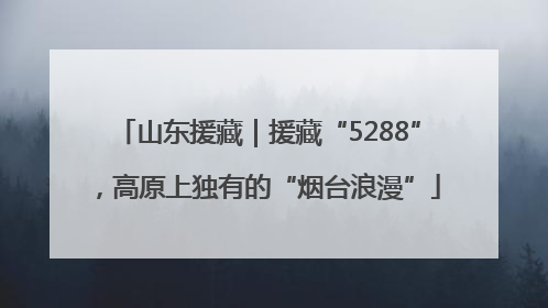 山东援藏｜援藏“5288”，高原上独有的“烟台浪漫”