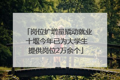 岗位扩增量撬动就业 十堰今年已为大学生提供岗位2万余个