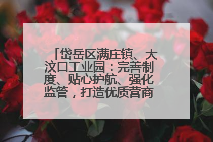 岱岳区满庄镇、大汶口工业园：完善制度、贴心护航、强化监管，打造优质营商“强磁场”